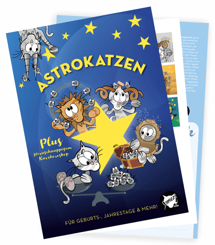 Promotionbild von den Astrokatzen